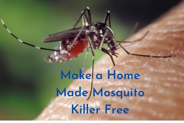 Make a Home Made Mosquito Killer Free